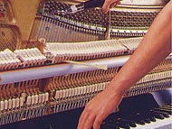 gy08